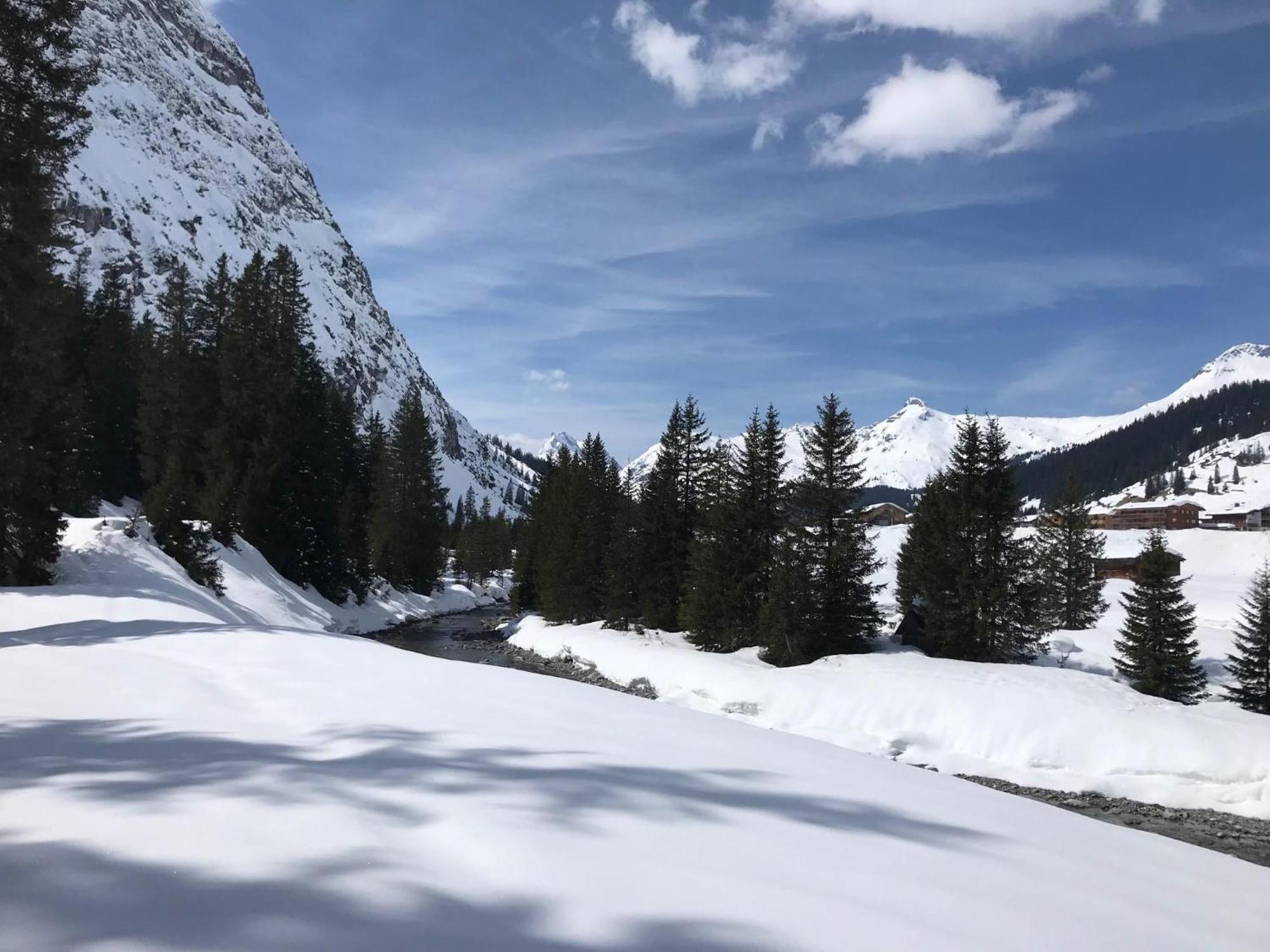 Haus Maschol Daire Wald am Arlberg Dış mekan fotoğraf