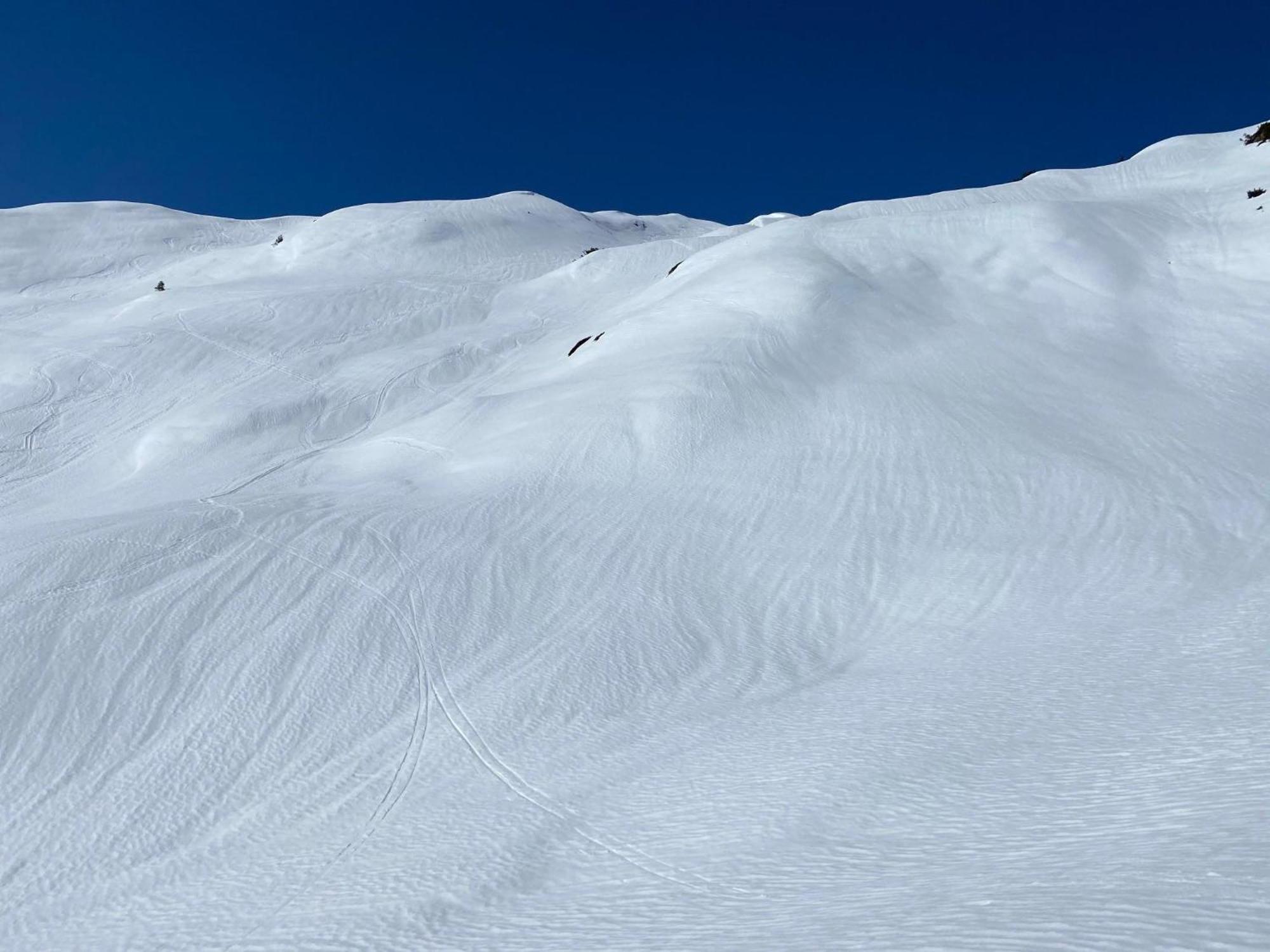 Haus Maschol Daire Wald am Arlberg Dış mekan fotoğraf