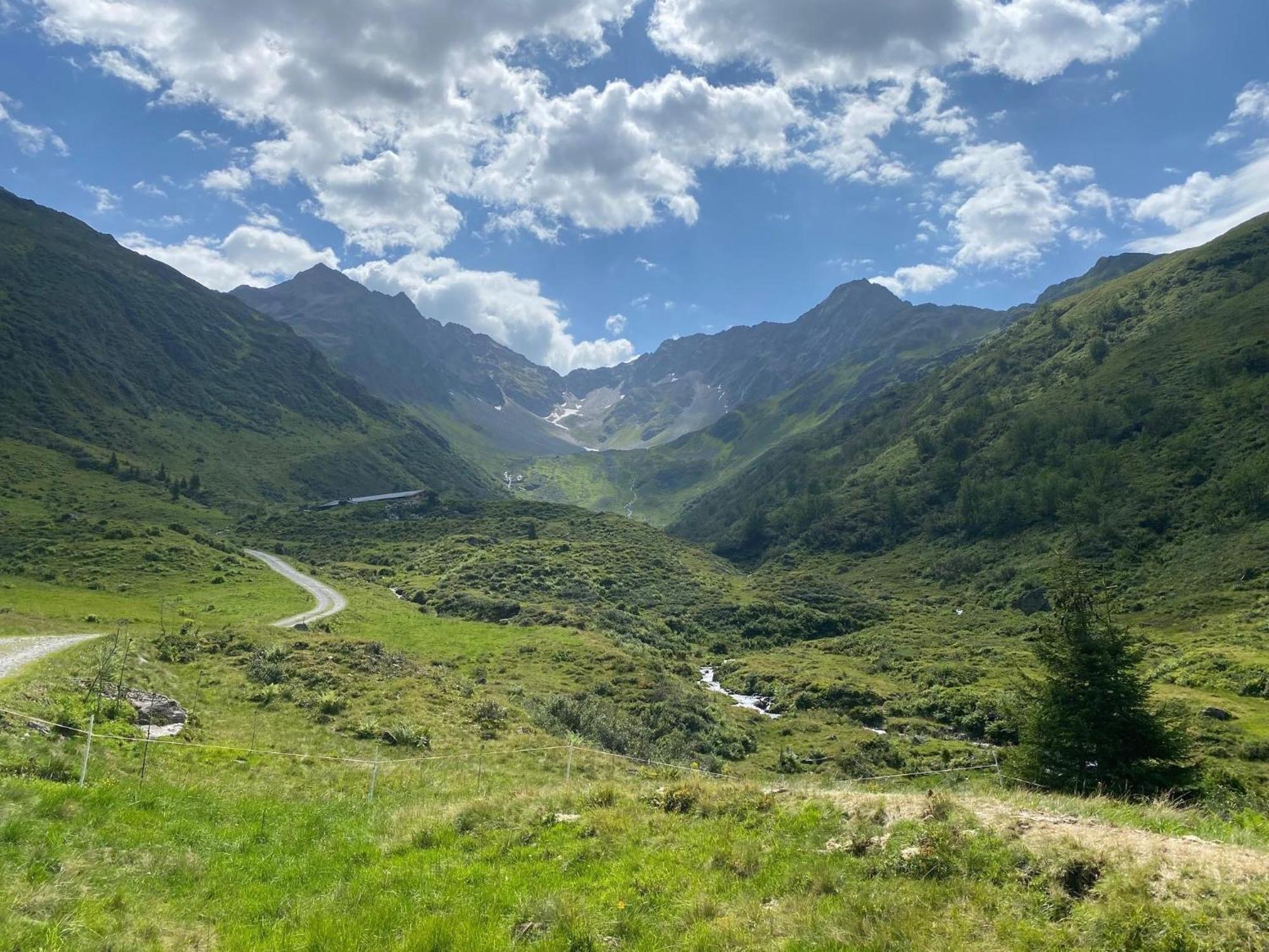 Haus Maschol Daire Wald am Arlberg Dış mekan fotoğraf