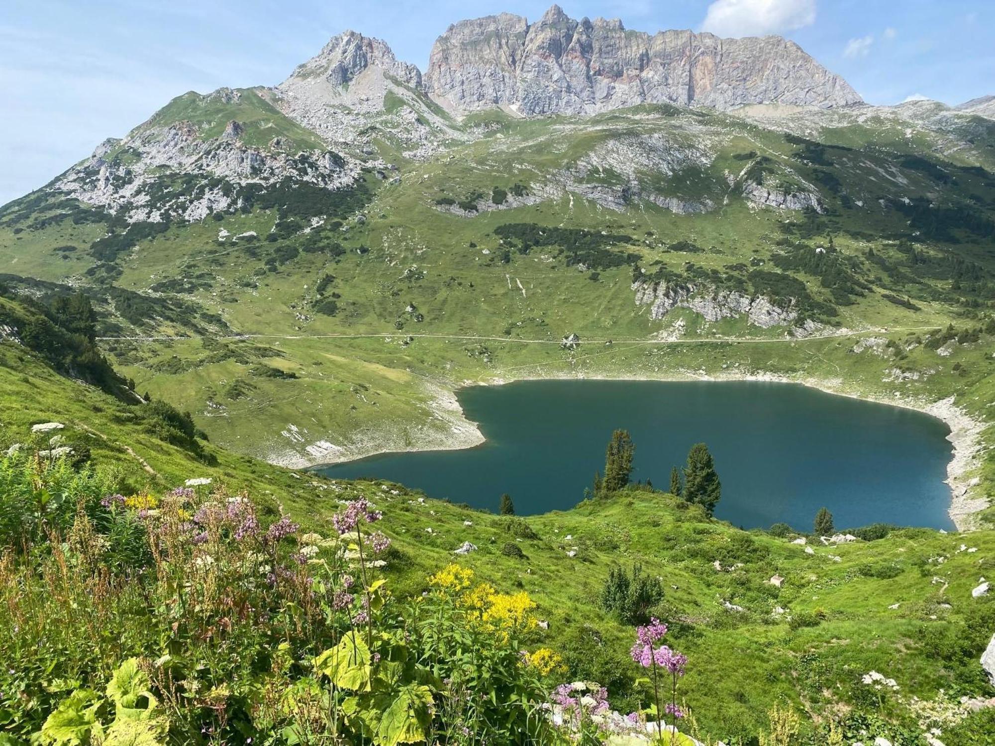 Haus Maschol Daire Wald am Arlberg Dış mekan fotoğraf