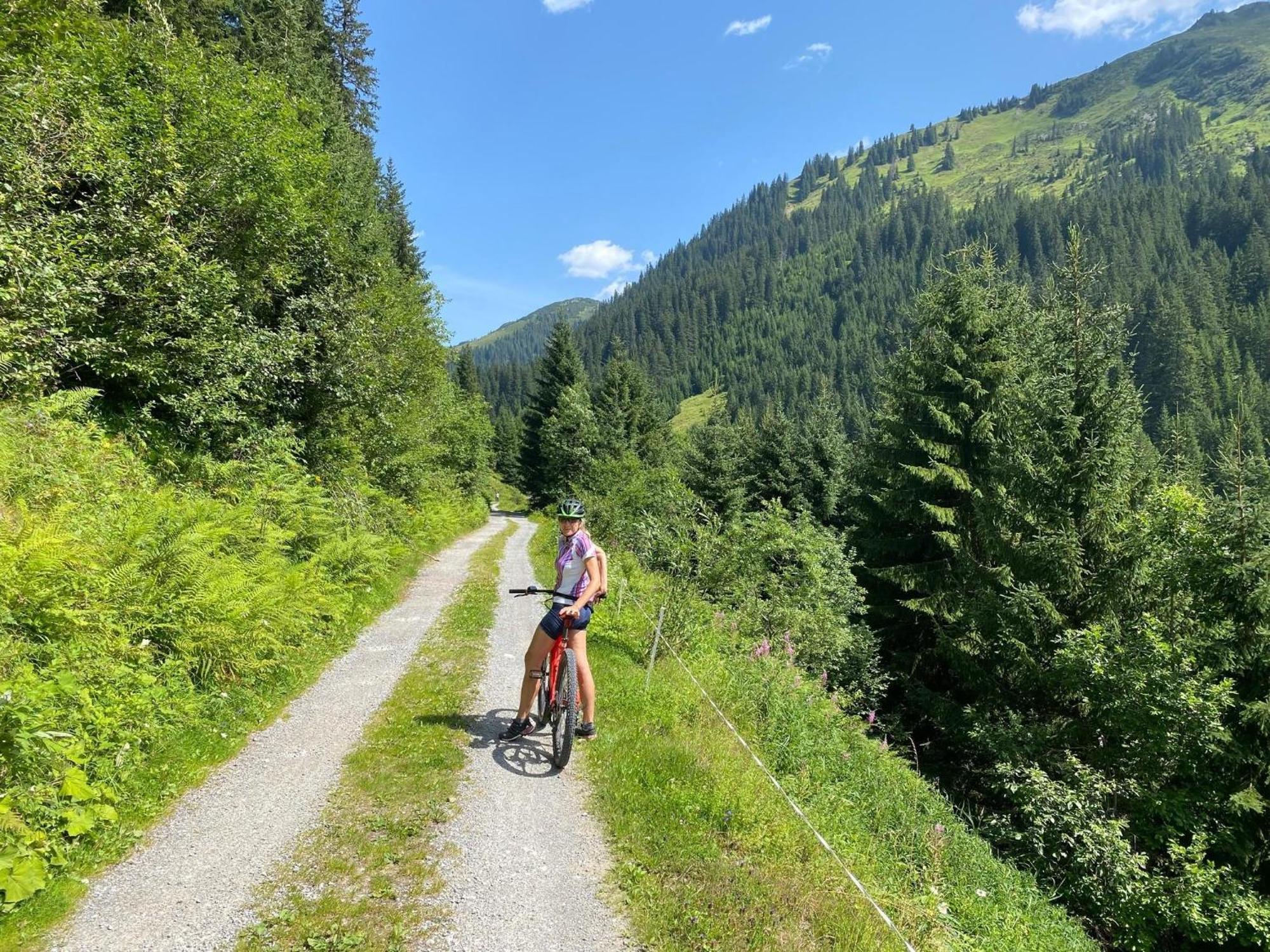 Haus Maschol Daire Wald am Arlberg Dış mekan fotoğraf